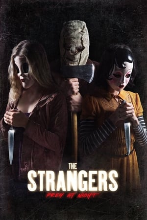 The Strangers: Prey at Night (2018) Dual Audio | Hindi Full Movie BluRay [770MB]