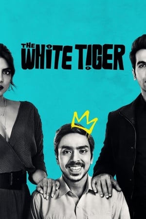 The White Tiger (2021) Movie | Hindi Full Movie HDRip – [370MB]