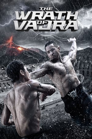 The Wrath of Vajra (2013) Dual Audio | Hindi Full Movie BluRay 350MB