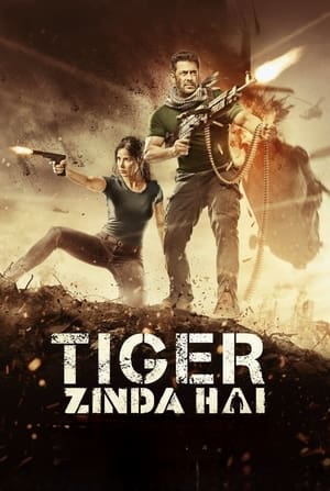 Tiger Zinda Hai 2017 Audio WEB-DL | Hindi Full Movie