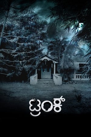 Trunk (2018) ( - Kannada) Dual Audio | Hindi Full Movie UnCut HDRip [1.4GB]