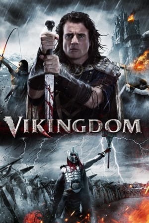 Vikingdom 2013 Dual Audio | Hindi Full Movie BluRay [1GB]