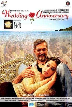 Wedding Anniversary 2017 Movie | Hindi Full Movie HDRip x264 [740MB]