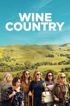 Wine Country (2019) Dual Audio | Hindi Full Movie Web-DL [1GB]